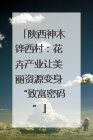 陕西神木铧西村：花卉产业让美丽资源变身“致富密码”